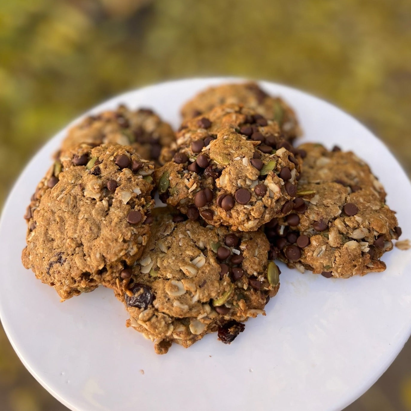 Breakfast Cookies (GF/V)